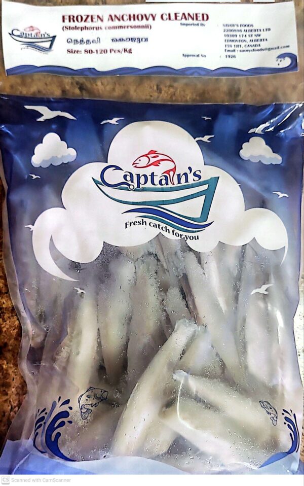 Anchovy/കൊഴുവ, Big (Captains) 1.5 Lb